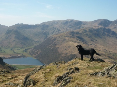Pet Friendly Cottages in the Lake District